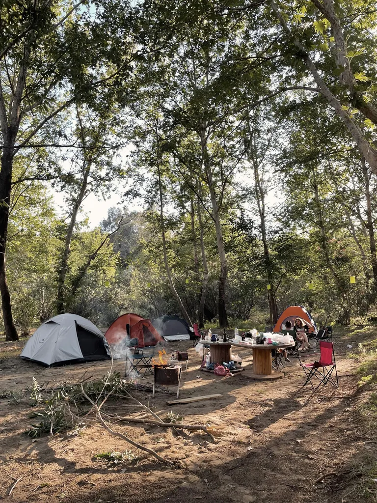Camp im Wald — Zelte zwischen hohen Bäumen, ruhige Atmosphäre.
